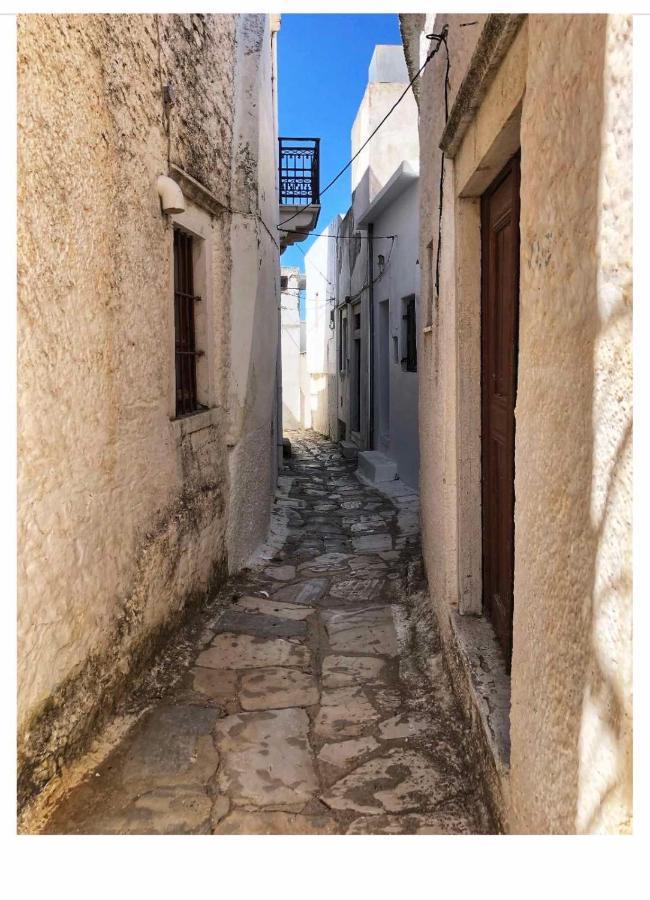 Partarolos Traditional House Apérathos 外观 照片
